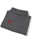 Unisex Arizona Cardinals™ Hoodie