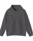 Unisex Arizona Cardinals™ Hoodie